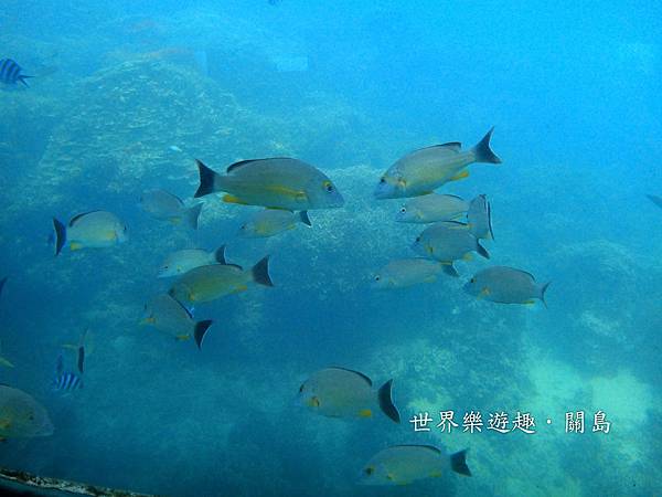 26DSC00641 26DSC00641