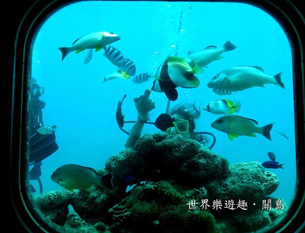 28DSC00620 28DSC00620