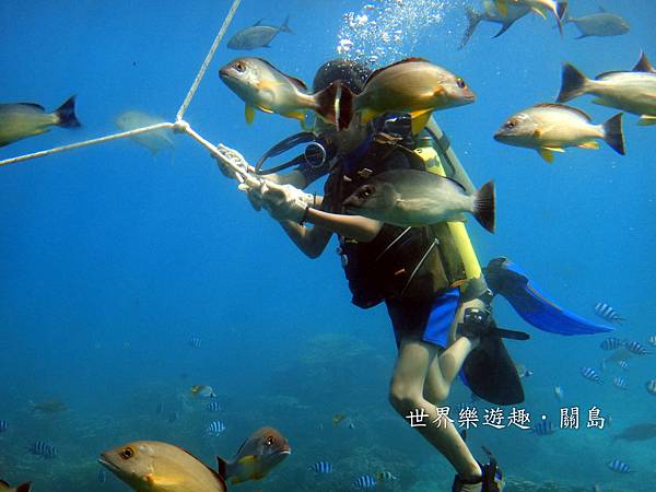 29DSC00632 29DSC00632