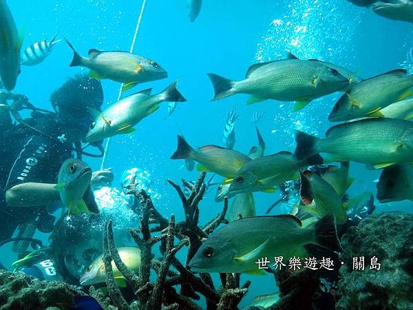 31DSC00613 31DSC00613