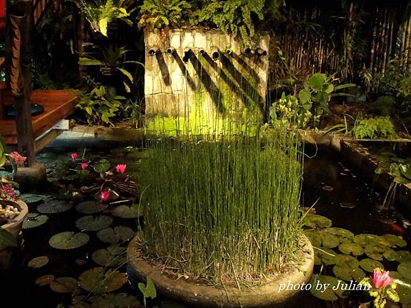 3The Lotus Garden (5)