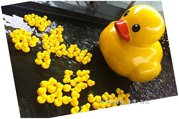 3小鴨46名0021.jpg 3小鴨46名0021.jpg