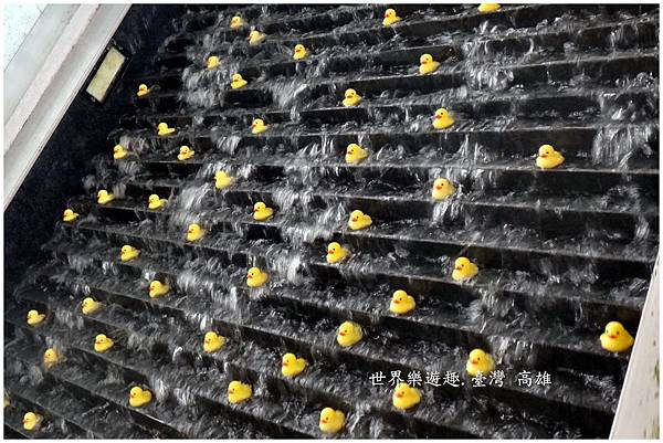 5小鴨46名0022.jpg 5小鴨46名0022.jpg