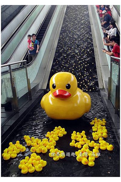 6小鴨46名l0002.jpg 6小鴨46名l0002.jpg