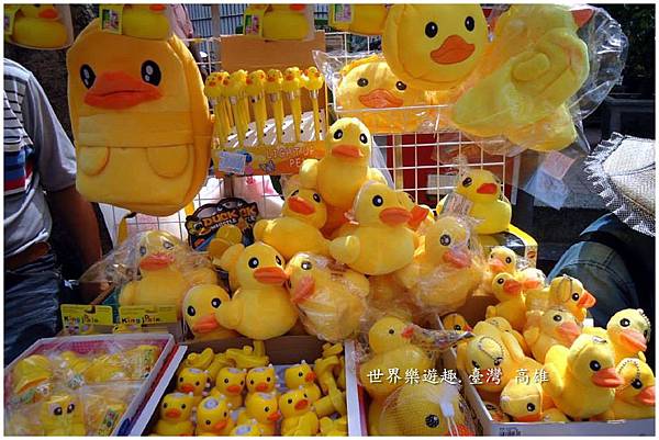 8小鴨46名0024.jpg 8小鴨46名0024.jpg