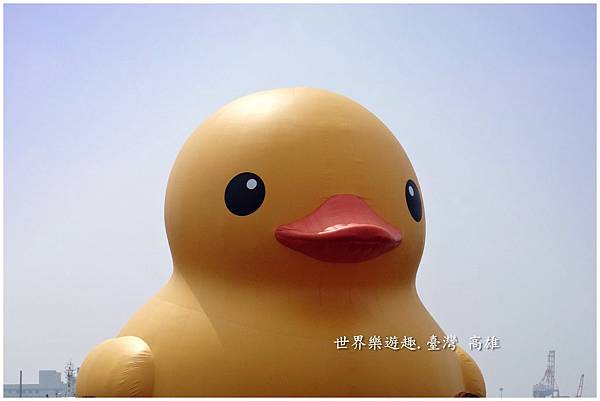 10小鴨46名0011.jpg 10小鴨46名0011.jpg