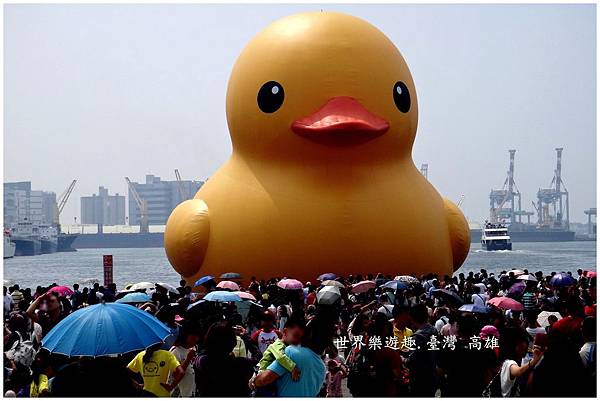 11小鴨46名0012.jpg 11小鴨46名0012.jpg