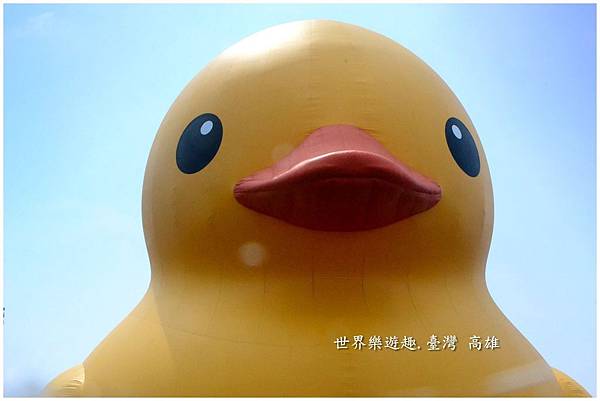 16小鴨46名0004.jpg 16小鴨46名0004.jpg