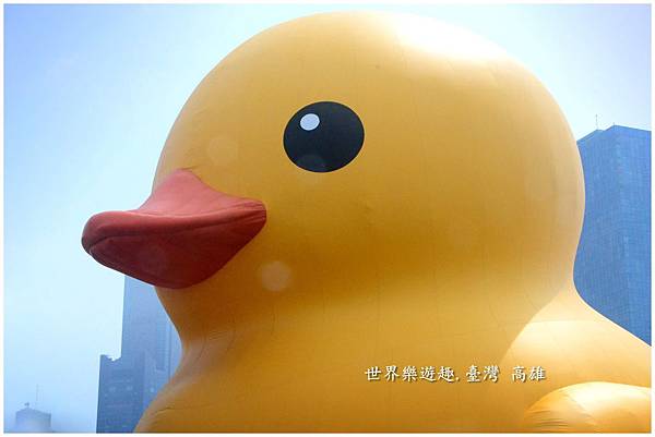 17小鴨46名0005.jpg 17小鴨46名0005.jpg