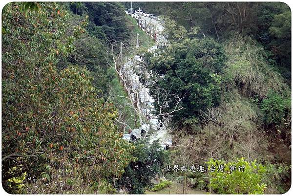 19新鮮森林名0010.jpg 19新鮮森林名0010.jpg