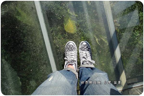 30七分醉46a0055.jpg 30七分醉46a0055.jpg