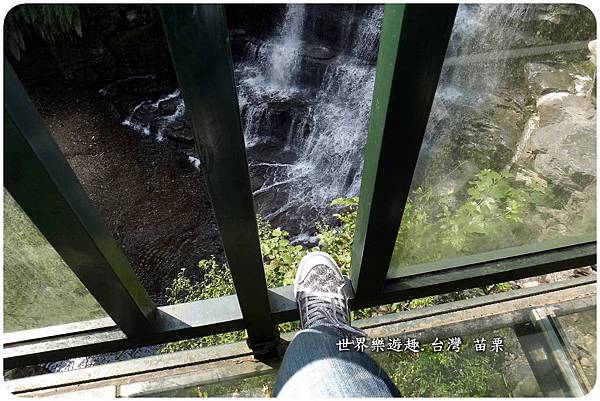 31七分醉46a0056.jpg 31七分醉46a0056.jpg