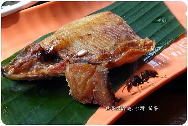 43七分醉46a0065.jpg 43七分醉46a0065.jpg