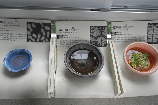 1434019251.jpg 1434019251.jpg