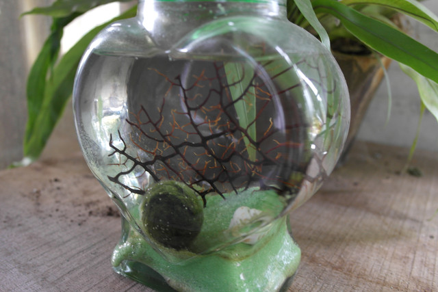 1434019256.jpg 1434019256.jpg