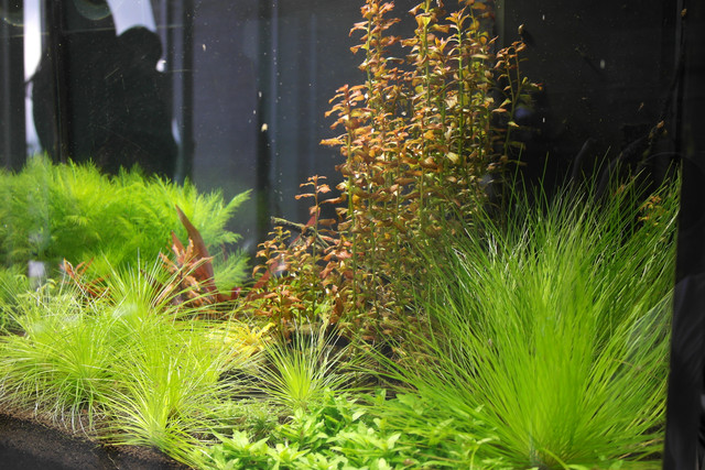 1434019257.jpg 1434019257.jpg