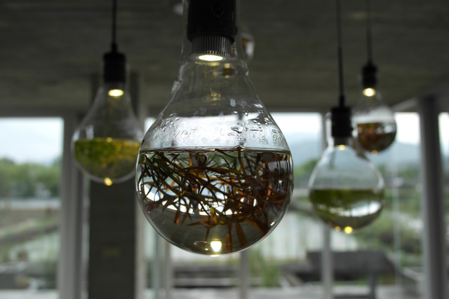 1434019265.jpg 1434019265.jpg