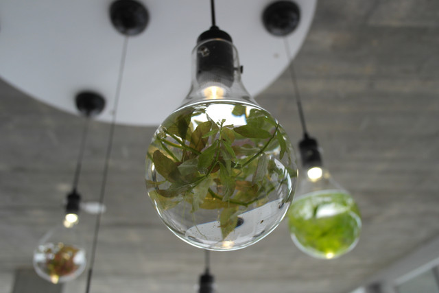 1434019266.jpg 1434019266.jpg