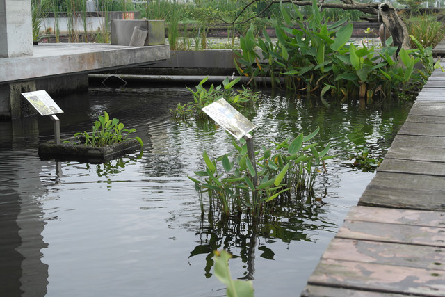 1434019273.jpg 1434019273.jpg