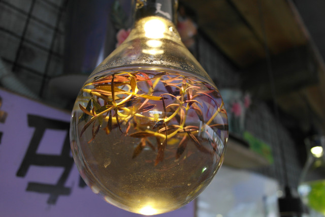 1434019278.jpg 1434019278.jpg