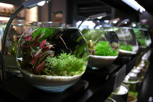 1434019281.jpg 1434019281.jpg