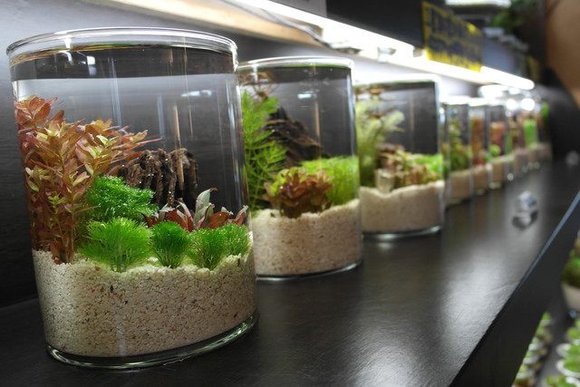 1434019282.jpg 1434019282.jpg