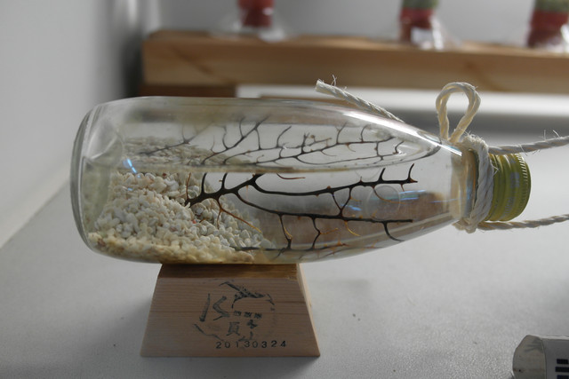 1434019287.jpg 1434019287.jpg