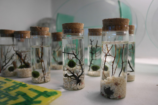 1434019288.jpg 1434019288.jpg