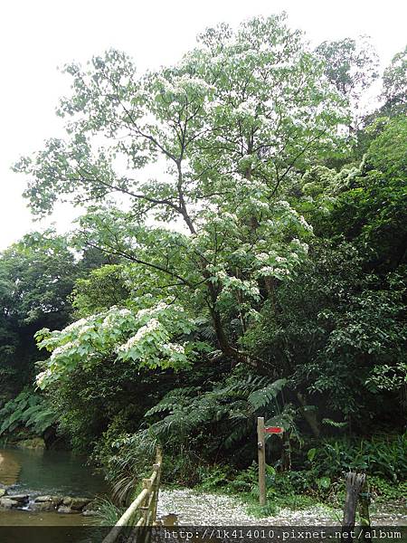 DSC04426 DSC04426
