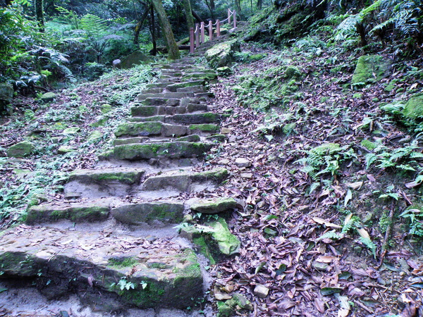 28-01砂岩石階.JPG 28-01砂岩石階.JPG