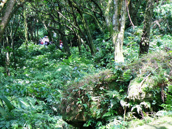 44-01濕滑下山原始路.JPG 44-01濕滑下山原始路.JPG