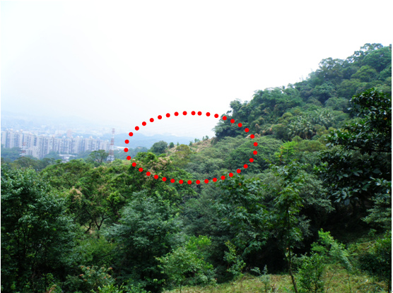 15-03造林乎.bmp 15-03造林乎.bmp