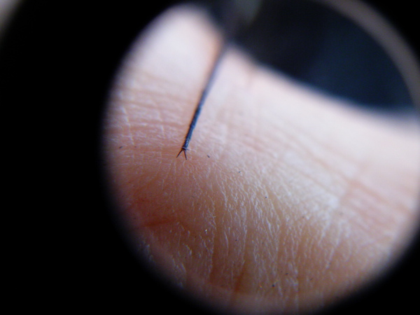 09-01蝴蝶腳腳分叉.JPG 09-01蝴蝶腳腳分叉.JPG