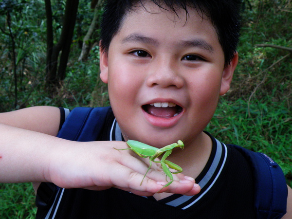 19-02寬腹螳螂.JPG 19-02寬腹螳螂.JPG