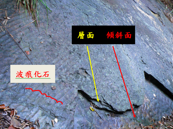 01-02順向坡和波痕化石.bmp 01-02順向坡和波痕化石.bmp