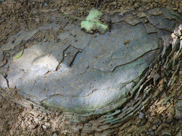 11-01洋蔥狀風化 (2).JPG 11-01洋蔥狀風化 (2).JPG