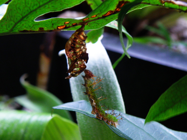 25-07別吵啦.JPG 25-07別吵啦.JPG