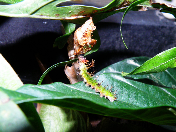 25-08別吵啦.JPG 25-08別吵啦.JPG