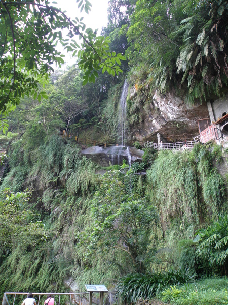 12-05俄氏草喜歡的環境銀河洞瀑布.JPG 12-05俄氏草喜歡的環境銀河洞瀑布.JPG