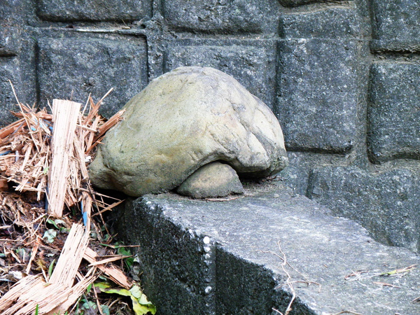 11-02烏龜石.JPG 11-02烏龜石.JPG