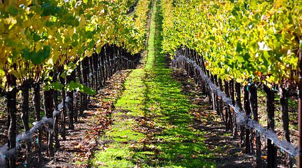 2878773267-santa-barbara-wine-tour