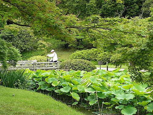 也許有一天~日本四國 