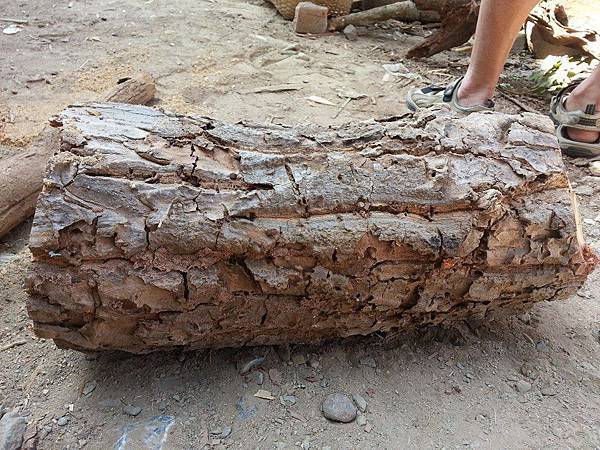 1517605_734411809916906_1692174134_n