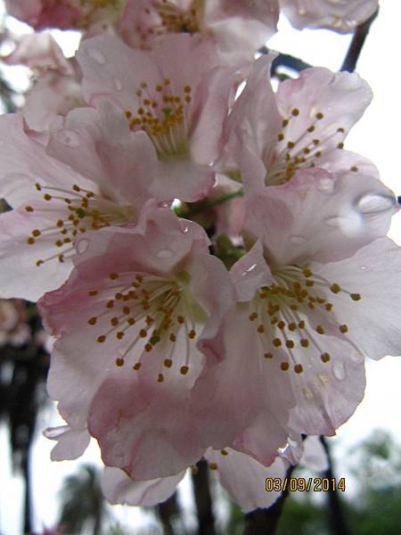 058.JPG 058.JPG