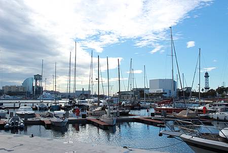 IMG_1817.jpg IMG_1817.jpg