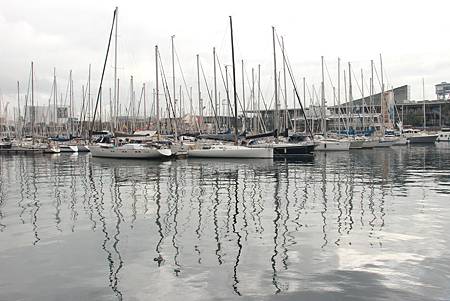 IMG_2399.jpg IMG_2399.jpg