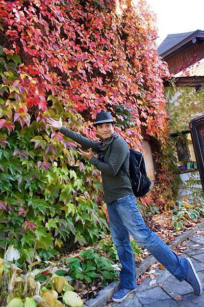 我夢想中居住的地方-奧地利薩爾茲堡-沃夫岡湖區Hallstatt61.jpg 我夢想中居住的地方-奧地利薩爾茲堡-沃夫岡湖區Hallstatt61.jpg