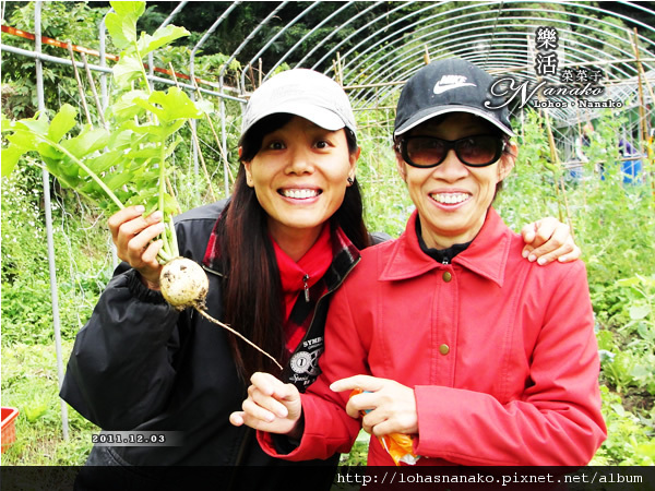 yangzou_radish_47.jpg yangzou_radish_47.jpg