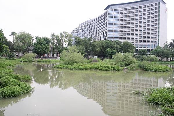 松菸文創餐廳,松菸誠品,生態湖,國父紀念館,秋豆溢,台北觀光景點