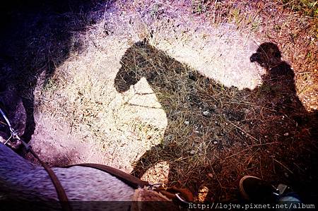 DSC00331_meitu_1 DSC00331_meitu_1